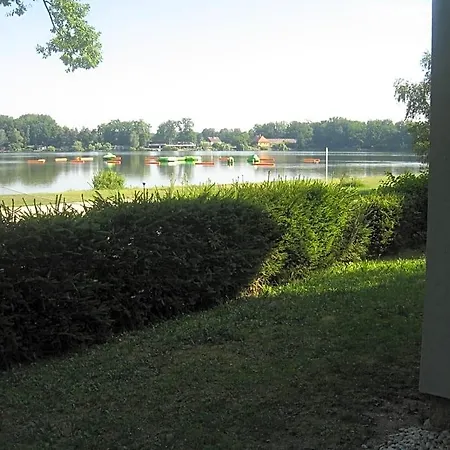 Bezdrev U Hluboke Nad Vltavou *